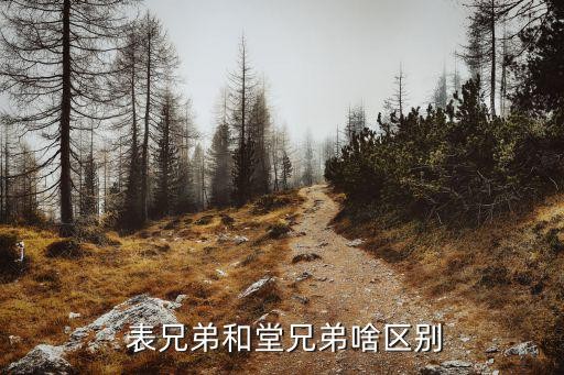  表兄弟和堂兄弟啥区别