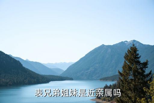 表兄弟姐妹是近亲属吗