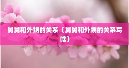 舅舅和外甥的关系（舅舅和外甥的关系写啥）