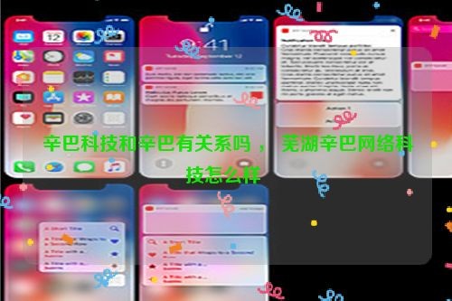  辛巴科技和辛巴有关系吗 ， 芜湖辛巴网络科技怎么样 