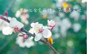 南方春天的句子