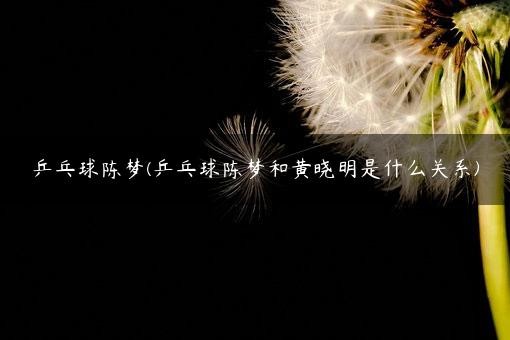乒乓球陈梦(乒乓球陈梦和黄晓明是什么关系)