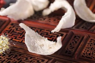 燕窝界的璀璨明星：滋补佳品引领健康潮流