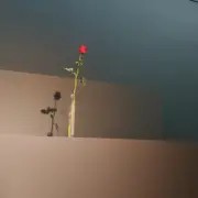 明星八卦声音免费在线播放