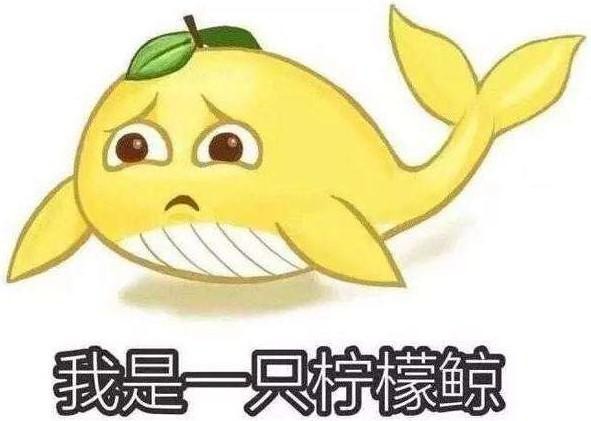 你与男艺人的女朋友 只差了一个助理的距离？