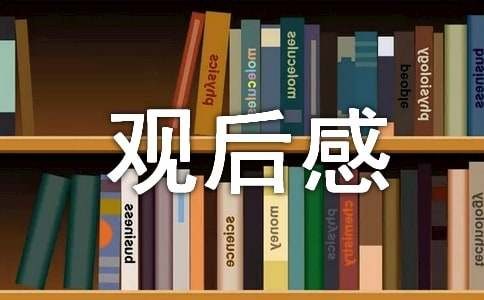 红海行动观后感500字
