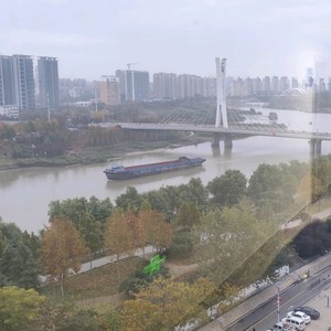 该起个什么名字呢