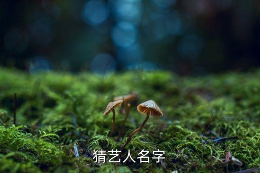 猜明星名字，猜艺人名字