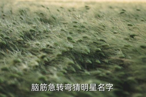 脑筋急转弯猜明星名字