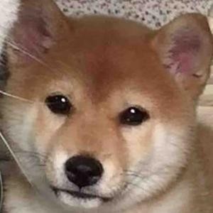 泡泡带明星头像