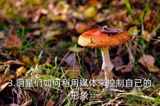 第一娱乐,首个娱乐新闻:将明星的个人生活揭示给大众