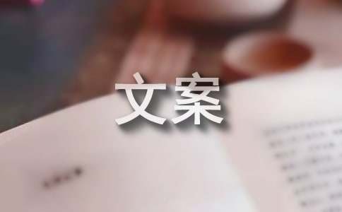追星的文案大全