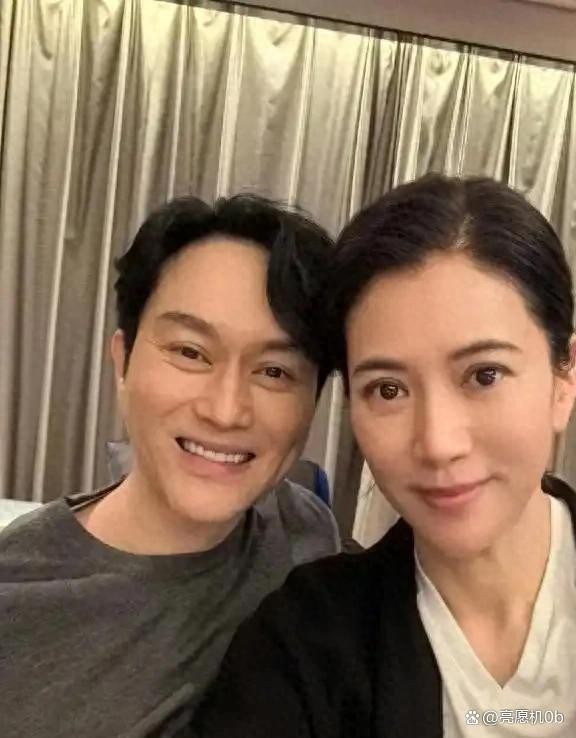 张智霖袁咏仪：娱乐圈模范夫妻的二十年恩爱