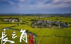 安徽多地主要领导调整