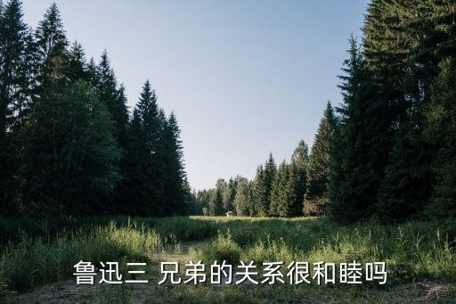 鲁迅三兄弟,鲁迅和周作人是战友曾一起辩论彼此
