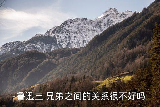  鲁迅三 兄弟之间的关系很不好吗