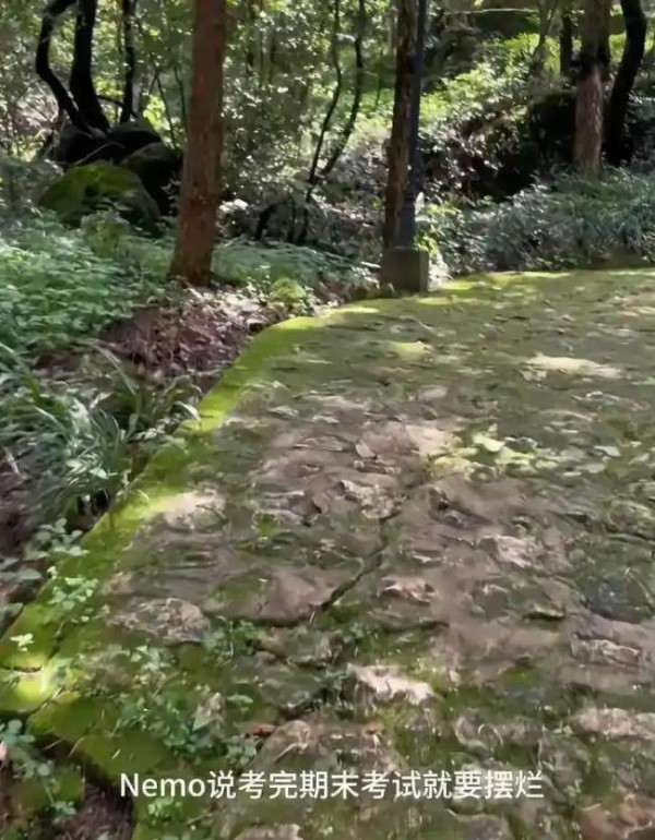 演员刘孜进山逃避与青春期孩子对峙 母子间的成长挑战
