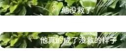 演员刘孜进山逃避与青春期孩子对峙 母子间的成长挑战