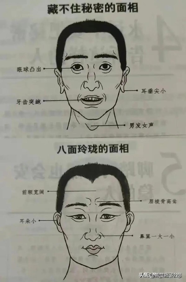 面相男女相 面相讲解男女的关系