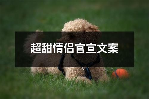 超甜情侣官宣文案