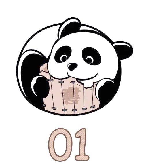 马云家庭背景与教育理念的碰撞：明星与商界的不同抉择