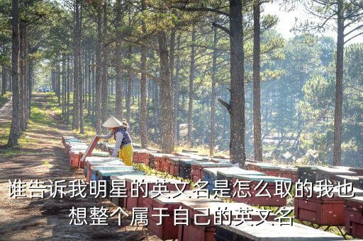 谁告诉我明星的英文名是怎么取的我也想整个属于自己的英文名