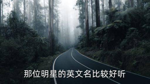 那位明星的英文名比较好听