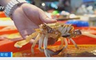 暴跌50%！浙江正大量上市，预计还会再跌
