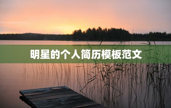 明星的个人简历模板范文