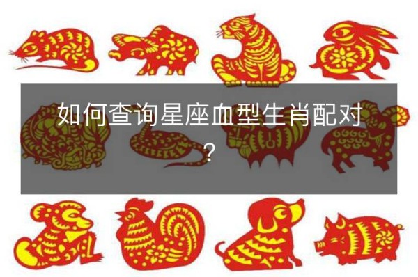 如何查询星座血型生肖配对？