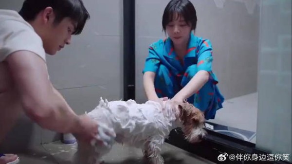 尖尖这段经典语,感人肺腑不愧是全家的“加油站”