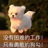 豆友158896994