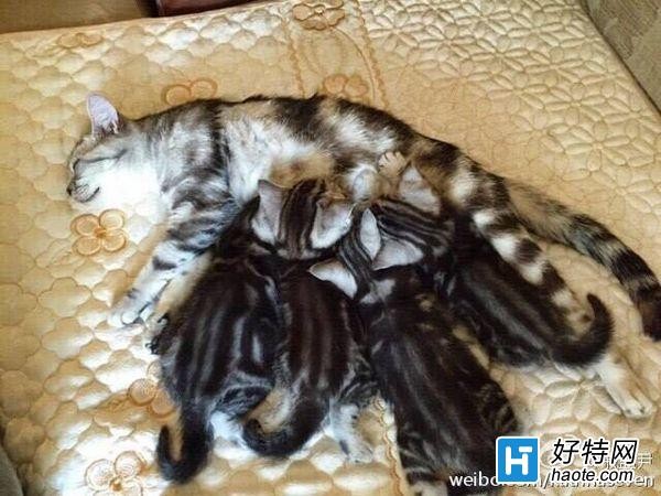 八一八：若风公布MISS合照 疑似新恋情