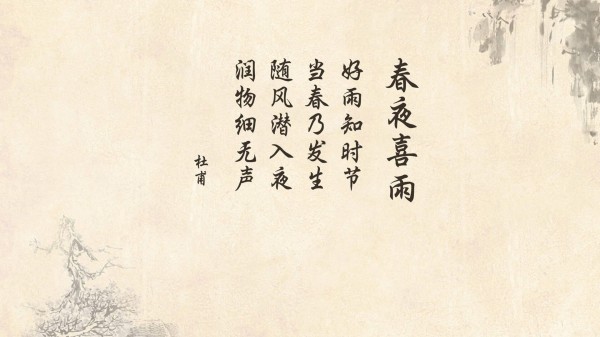 流量明星们的心头好—揭秘流量明星偏爱的电影网站