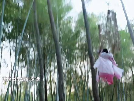 为一人,守一城,终生不嫁