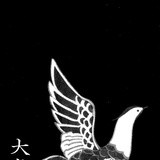 不唐honor