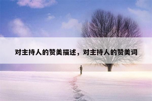 对主持人的赞美描述，对主持人的赞美词
