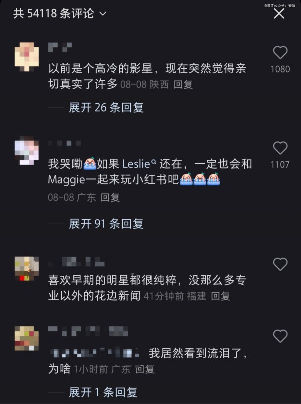 张曼玉笔记评论区（图源：小红书@张曼玉）
