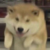 火速改名