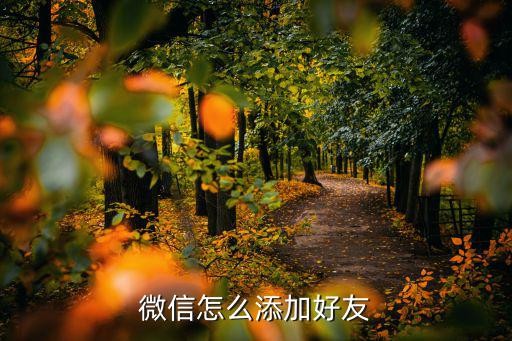 微信怎样加好友,微信怎么添加好友呢