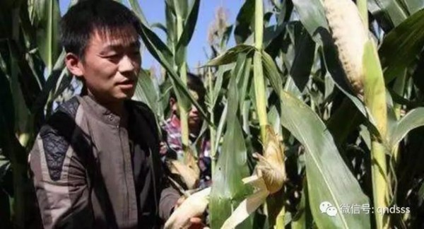 明星荣归故里，有人被乡亲唾骂，有人和乡亲打成一片！