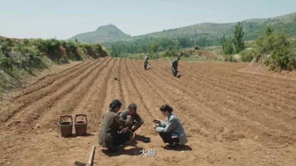 《生万物》导演快给林永健老师加钱吧!