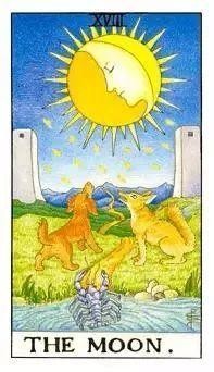检验爱情占卜：你们的关系会变得更好吗？如何加速你们的发展？