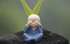 “人若太蠢，一瞧便知”：太蠢的人，往往有这9个明显特征
