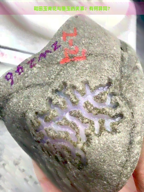 和田玉青花与墨玉的关系：有何异同？