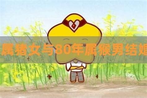 71年的猪和80年的猴婚姻 2024属猪要小心一个人