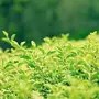 小郑说娱