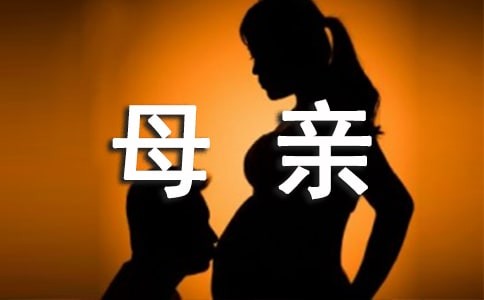 母亲也追星作文
