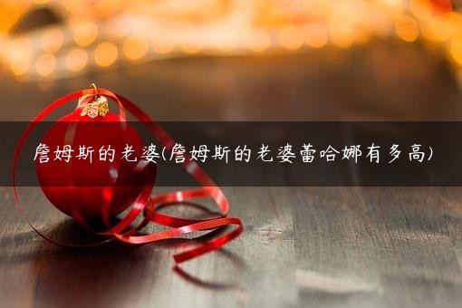 詹姆斯的老婆(詹姆斯的老婆蕾哈娜有多高)