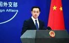 百亿订单一夜归零，中美联手出手，“反华急先锋”栽了